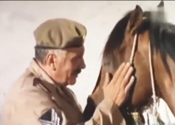 نظرية الرجل والحصان …