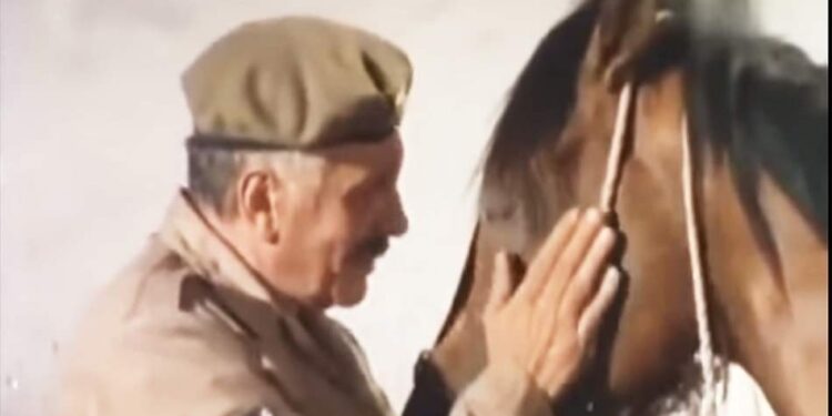 نظرية الرجل والحصان …