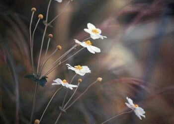 أحـتــــاجــــك …