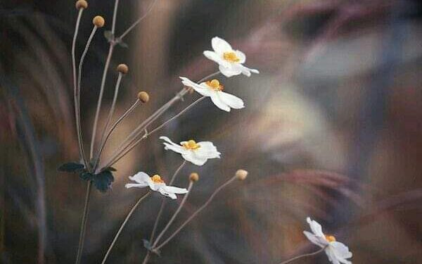  ‏أحـتــــاجــــك …