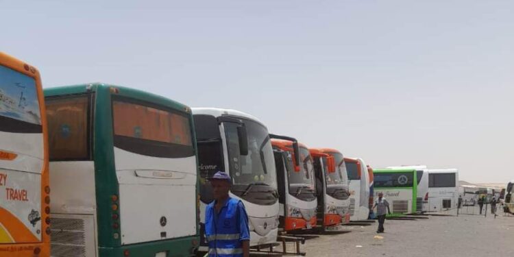 محافظ أسوان : مواصلة تقديم أوجه الدعم المختلفة للوافدين من دولة السودان