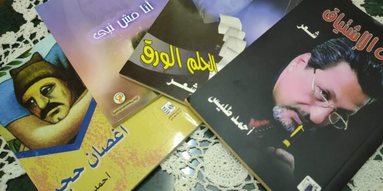 « خلص الكلام  » للشاعرة  مروة أحمد طليس 