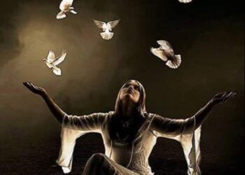 طيور الحب …