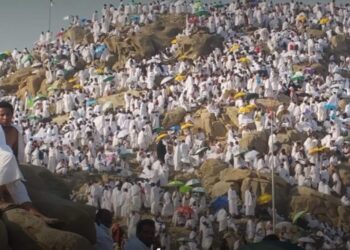 التضامن الإجتماعي.. تنظيم أفواج لسفر حجاج الجمعيات الأهلية