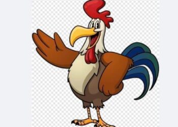  الديك اليهودي …