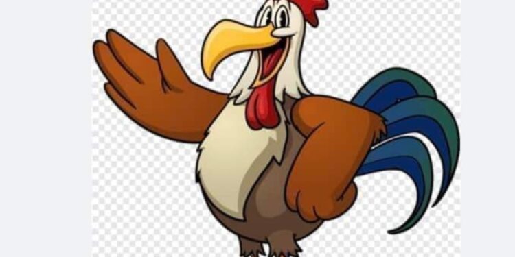  الديك اليهودي …