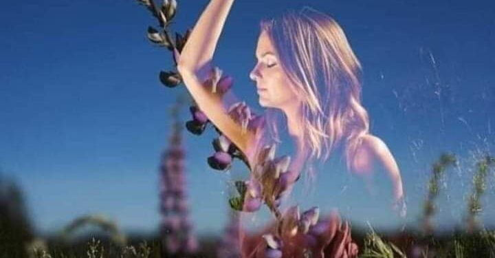 « فاتنتي شاعرة » للشاعرة فاطمة يشوتي …