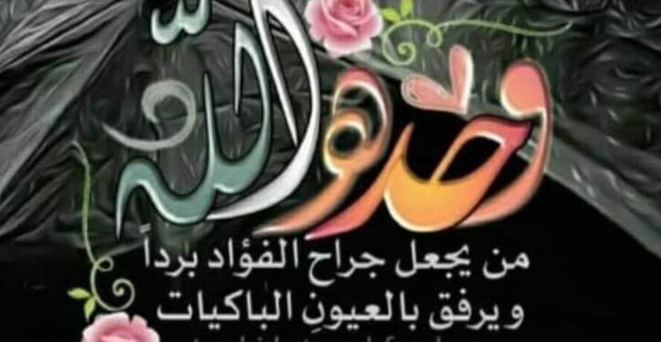 هل البال عضو فى جسم الإنسان ؟!