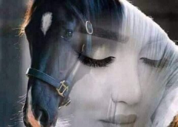 وهْمُ  الغرام