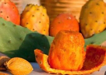 فاكهة الغلابة ياتين …!!