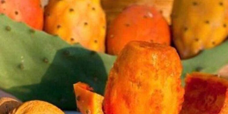 فاكهة الغلابة ياتين …!!