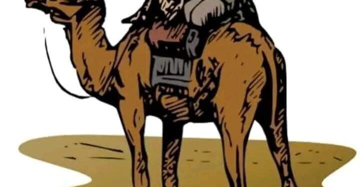 قصه وعبرة …