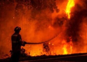 واشنطن تدخل قائمة المدن الأكثر تلوثاً على الأرض بسبب حرائق غابات كندا