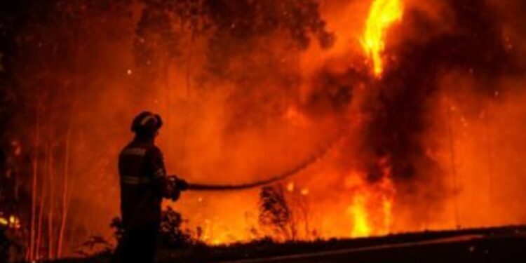 واشنطن تدخل قائمة المدن الأكثر تلوثاً على الأرض بسبب حرائق غابات كندا