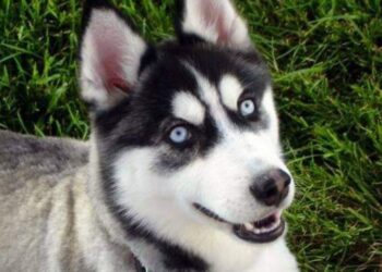 درسٌ في الحب