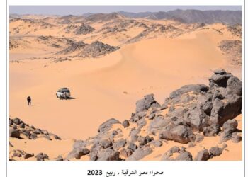 الغربية” في “الشرقية”  !!