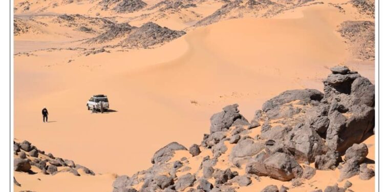 الغربية” في “الشرقية”  !!