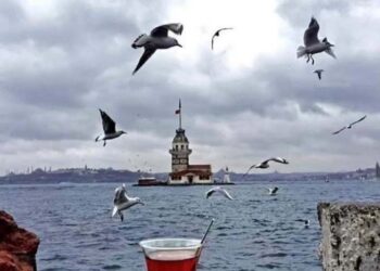 عصفور طلّ من الشبّاكِ