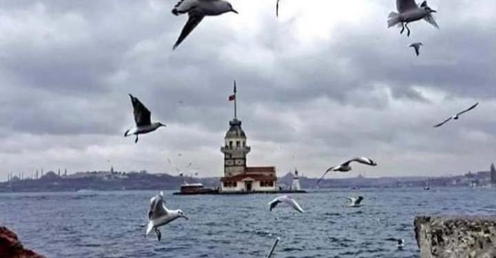 عصفور طلّ من الشبّاكِ