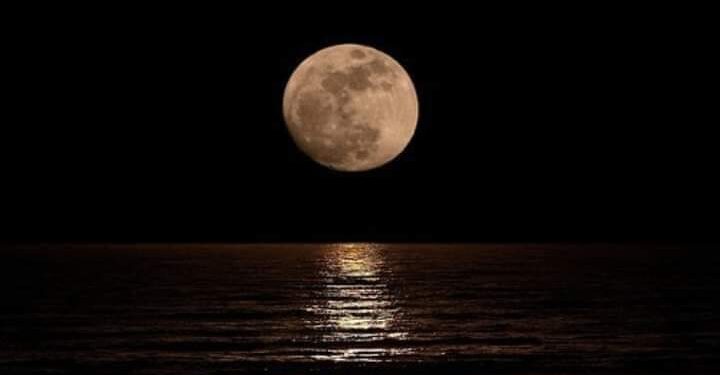 كتم المواجع