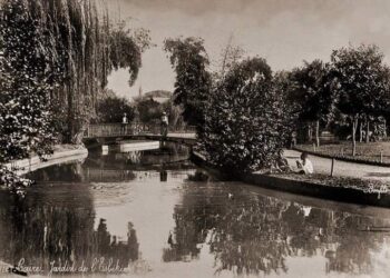 اجازة العيد .. وشاي العصاري !.