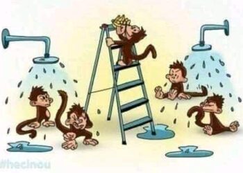 نظرية القرود الخمسة