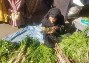 بائعة بقلب أخضر