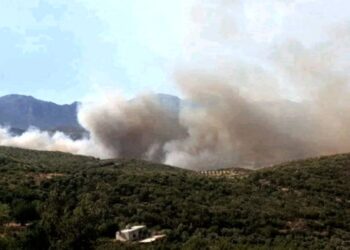 وزير الزراعه السوري الحرائق مازالت مستعرة بالغاب