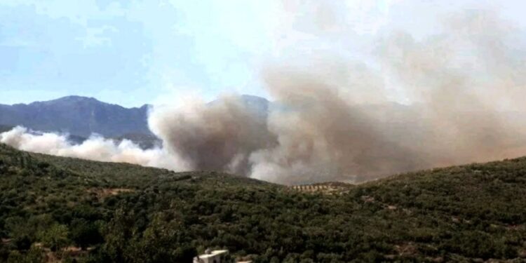 وزير الزراعه السوري الحرائق مازالت مستعرة بالغاب