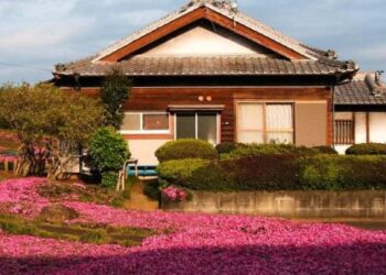 “كوركي” وزوجته “يوكاسا”