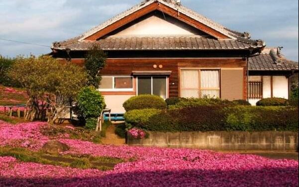 “كوركي” وزوجته “يوكاسا”