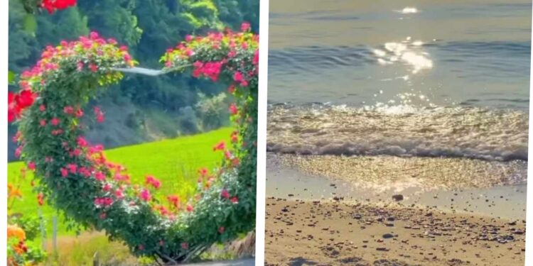 الطّائر السّجينُ