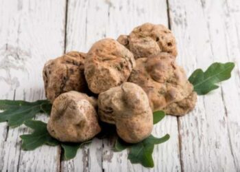 ما هو أغلى طعام على وجه الأرض؟.. الكيلو يصل إلى 200 ألف يورو