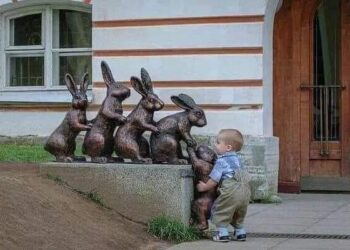 « الفطرة السليمه » بقلم ثروت محمود شفيق