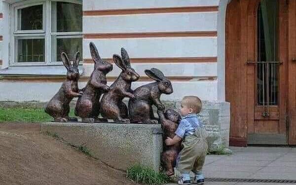 « الفطرة السليمه » بقلم ثروت محمود شفيق