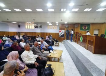 تحولات الأدب بعد 30 يونيو” في احتفالية لقصور الثقافة بالدقهلية