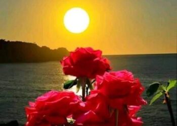 يا ليلى . أنا مقتولك