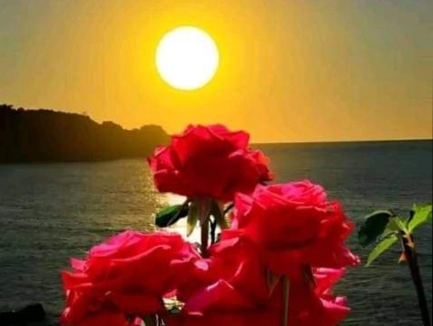 يا ليلى . أنا مقتولك