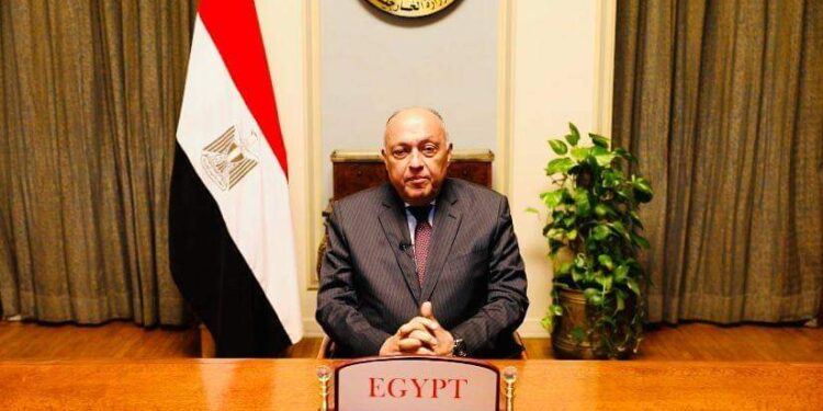 وزيرا خارجية مصر وصربيا يفتتحان أعمال ندوة أكاديمية