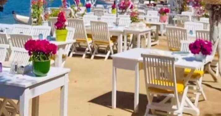 عاشقة للشتاء & عجائز القيلولة