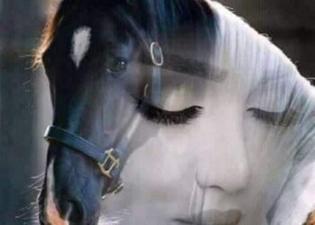 خربشة … يزيد