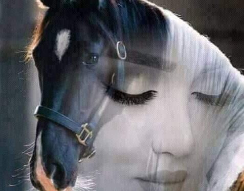 خربشة … يزيد