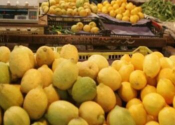 فى سوريا..كيلو الليمون يتجاوز عشرة آلاف ليرة إن وجد !!