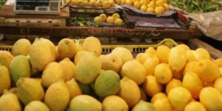 فى سوريا..كيلو الليمون يتجاوز عشرة آلاف ليرة إن وجد !!