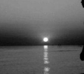 « دنيا البشر» للشاعر محمود مطر …