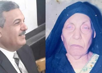 « ستي » للشاعر حامد شريفه …