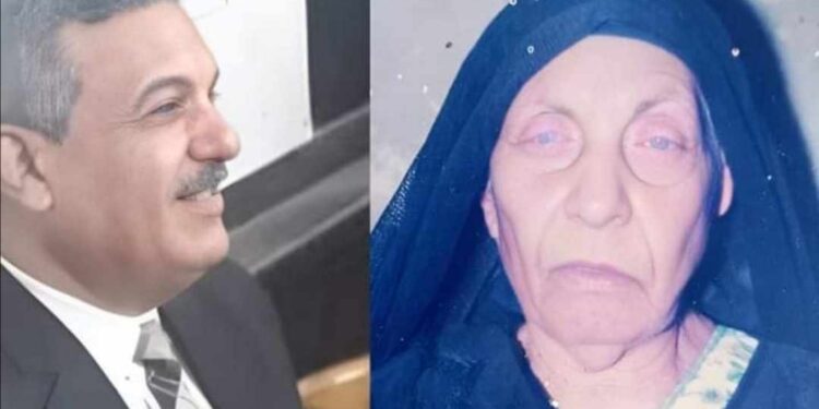 « ستي » للشاعر حامد شريفه …