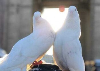 سَأَذْكُر نَفْسِي كُلَّ يَوْمٍ