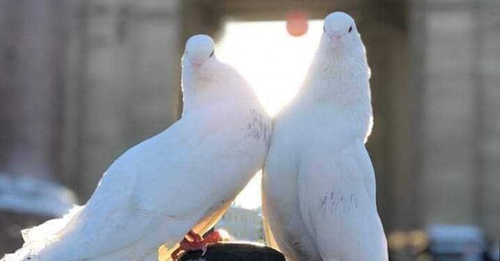 سَأَذْكُر نَفْسِي كُلَّ يَوْمٍ