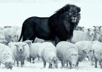 شِعرُ الخِرافة